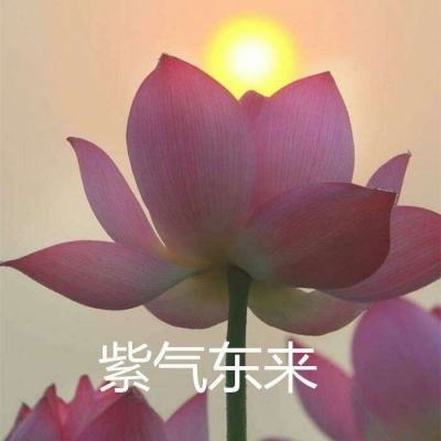 僵尸公园io游戏破解版下载